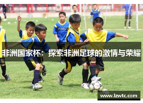 非洲国家杯：探索非洲足球的激情与荣耀